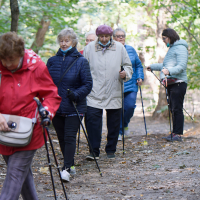 Programme “Watch me Walk” pour favoriser l’activité physique chez les adultes vieillissants présentant une déficience intellectuelle